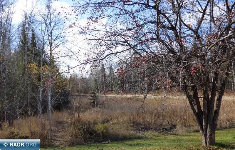39678 Cloverdale Road Nashwauk, MN 55769 - Photo 9 of 10