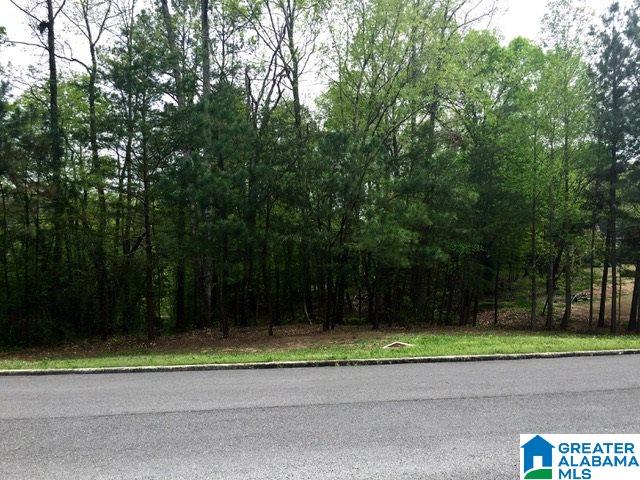 0 Quail Ridge Road, Unit 1 Oneonta, AL 35121 - Photo 15 of 18
