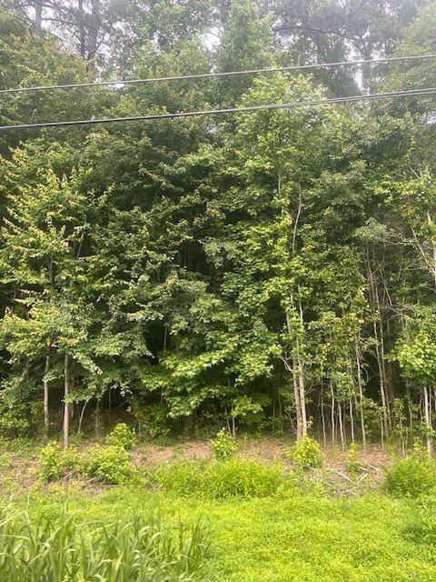 0 Butner Road Atlanta, GA 30331 - Photo 11 of 12 a view of a lake view