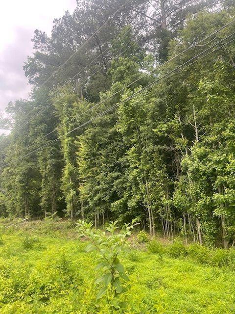 0 Butner Road Atlanta, GA 30331 - Photo 12 of 12 a view of a lake view