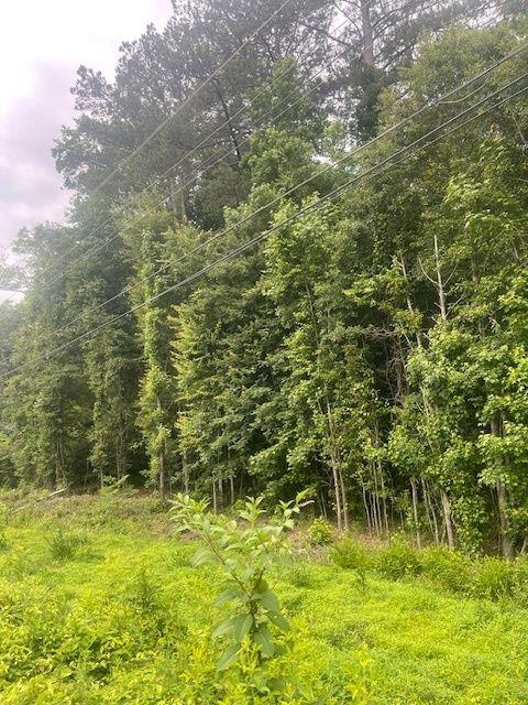 0 Butner Road Atlanta, GA 30331 - Photo 3 of 12 a view of a lake view