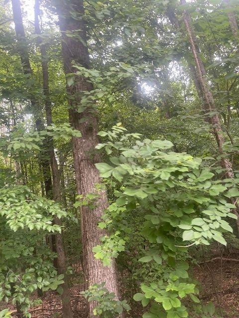 0 Butner Road Atlanta, GA 30331 - Photo 4 of 12 a view of a yard