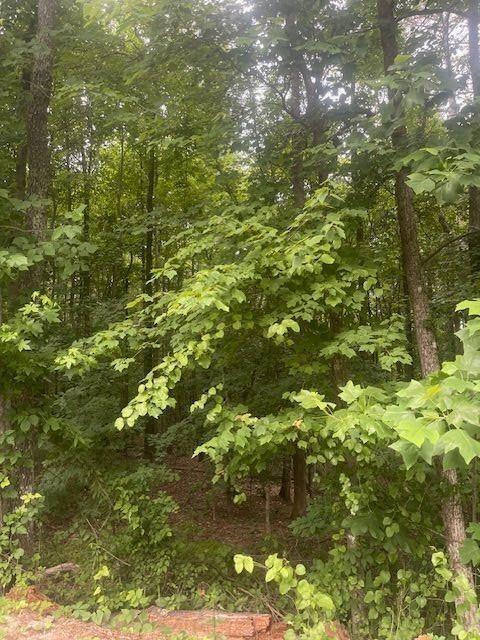 0 Butner Road Atlanta, GA 30331 - Photo 7 of 12