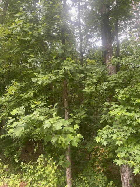 0 Butner Road Atlanta, GA 30331 - Photo 8 of 12 a view of a tree