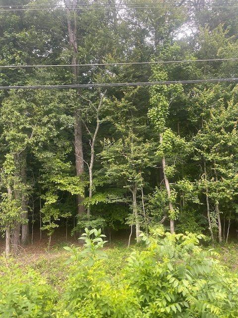 0 Butner Road Atlanta, GA 30331 - Photo 9 of 12 a view of lake