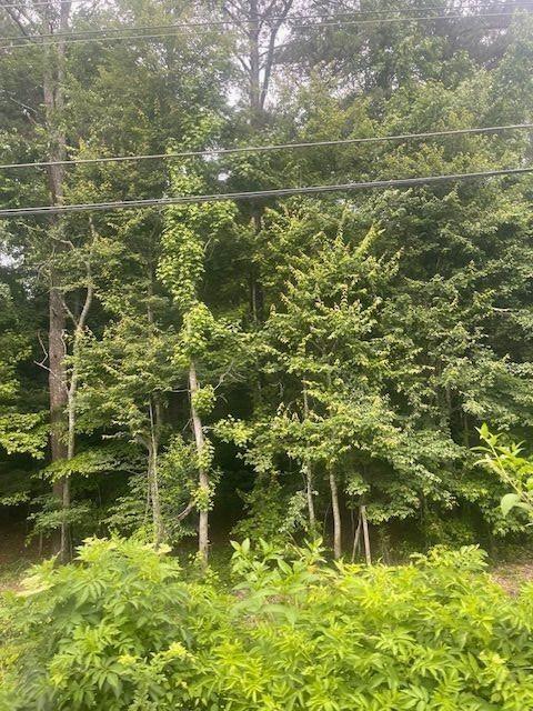 0 Butner Road Atlanta, GA 30331 - Photo 10 of 12 a view of a lake view