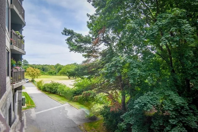 a view of a yard with potted plants