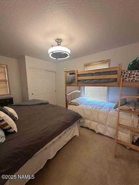 207 Blue Rdg Road Mormon Lake, AZ 86038 - Photo 27 of 65 Downstairs Bedroom 2