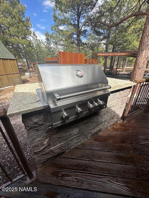 207 Blue Rdg Road Mormon Lake, AZ 86038 - Photo 40 of 65 BBQ