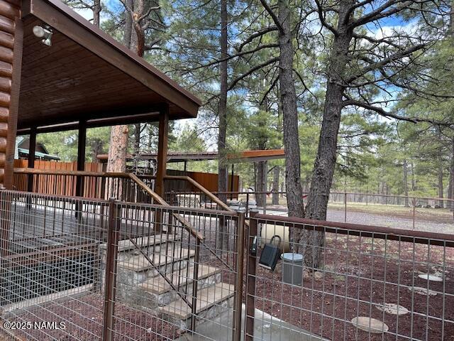 207 Blue Rdg Road Mormon Lake, AZ 86038 - Photo 44 of 65 Side yd with Custom fencing