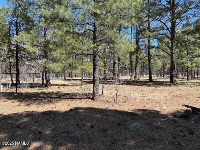 207 Blue Rdg Road Mormon Lake, AZ 86038 - Photo 48 of 65 Over an Acre!