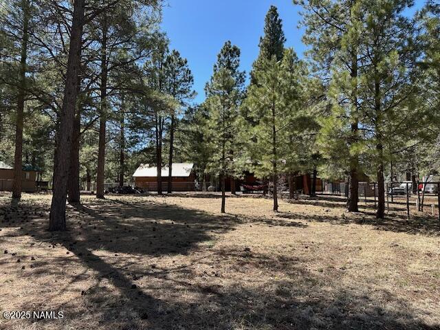 207 Blue Rdg Road Mormon Lake, AZ 86038 - Photo 51 of 65 Back Yard