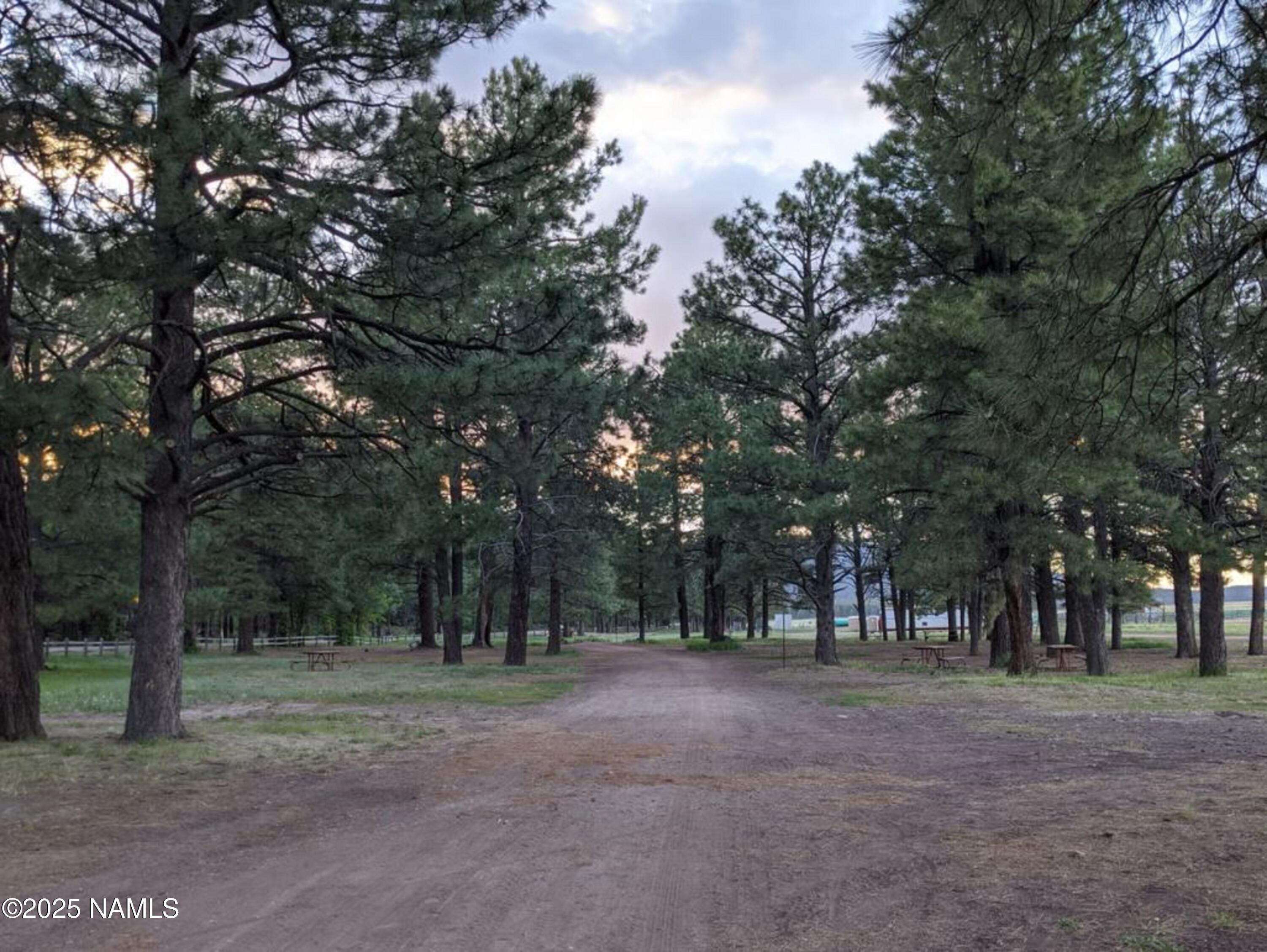 207 Blue Rdg Road Mormon Lake, AZ 86038 - Photo 57 of 65 ML Riding trails2big