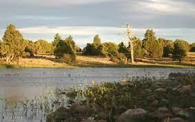 207 Blue Rdg Road Mormon Lake, AZ 86038 - Photo 59 of 65 kinnikinick lake