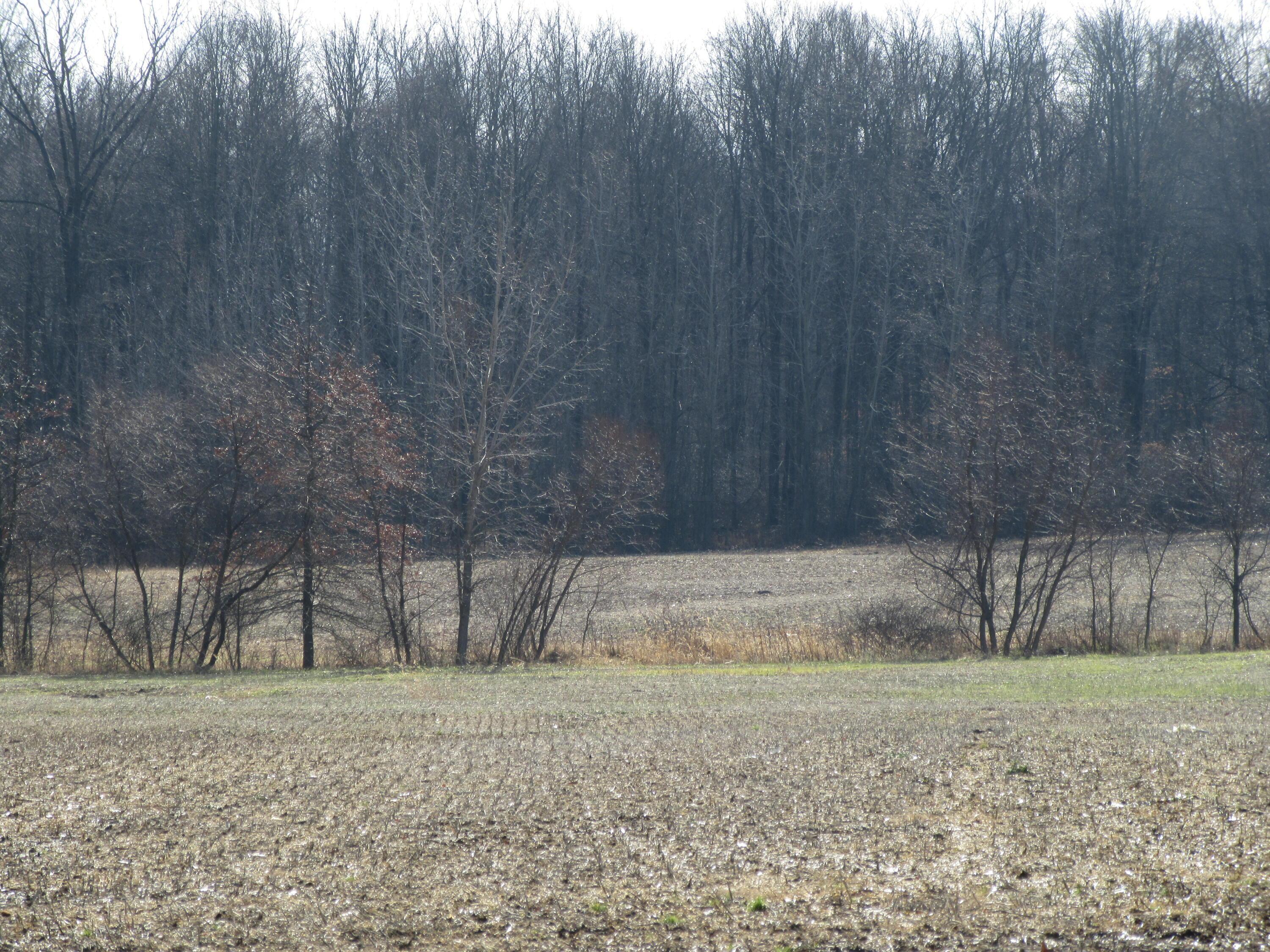 0 Riley Road Northwest, Unit 37 33 ACRES Johnstown, OH 43031 - Photo 3 of 11 Riley Road