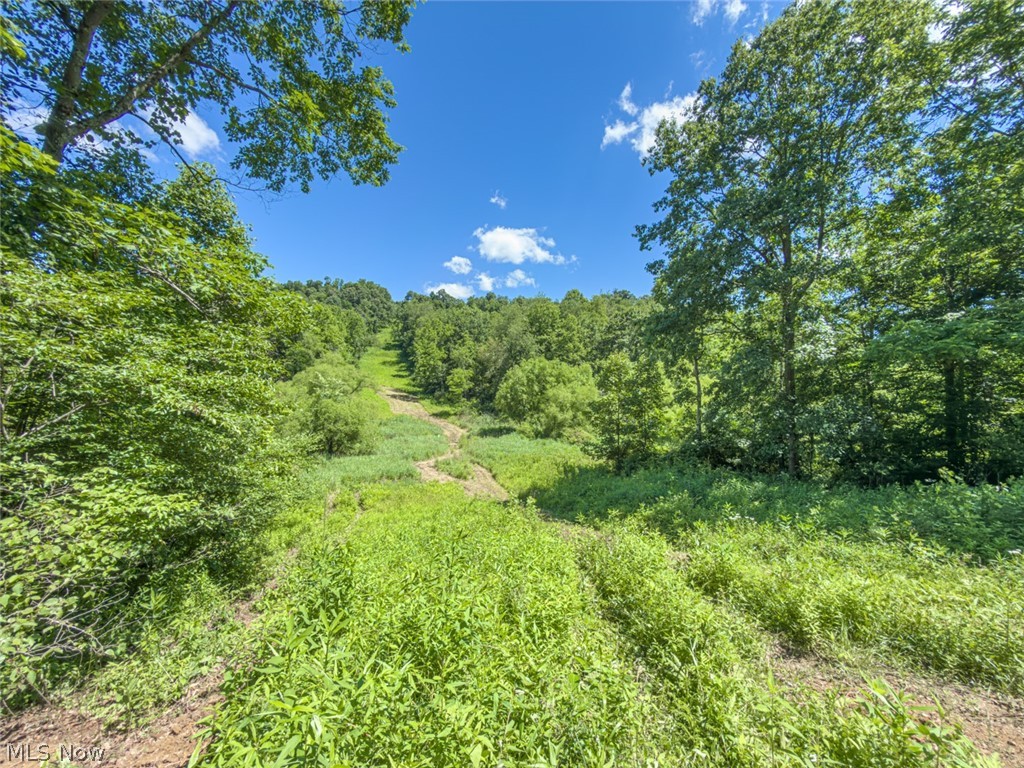 6985 Brush Run Road Cambridge, OH 43725 - Photo 42 of 50