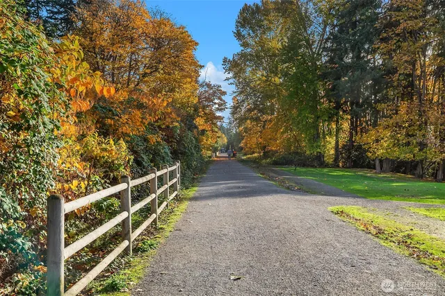 a view of a yard with plants and trees