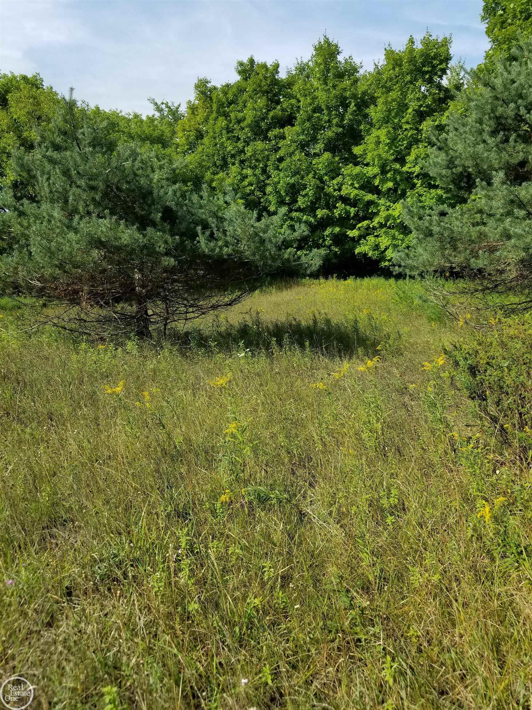 South Fritz Road Maple City, MI 49664 - Photo 6 of 14