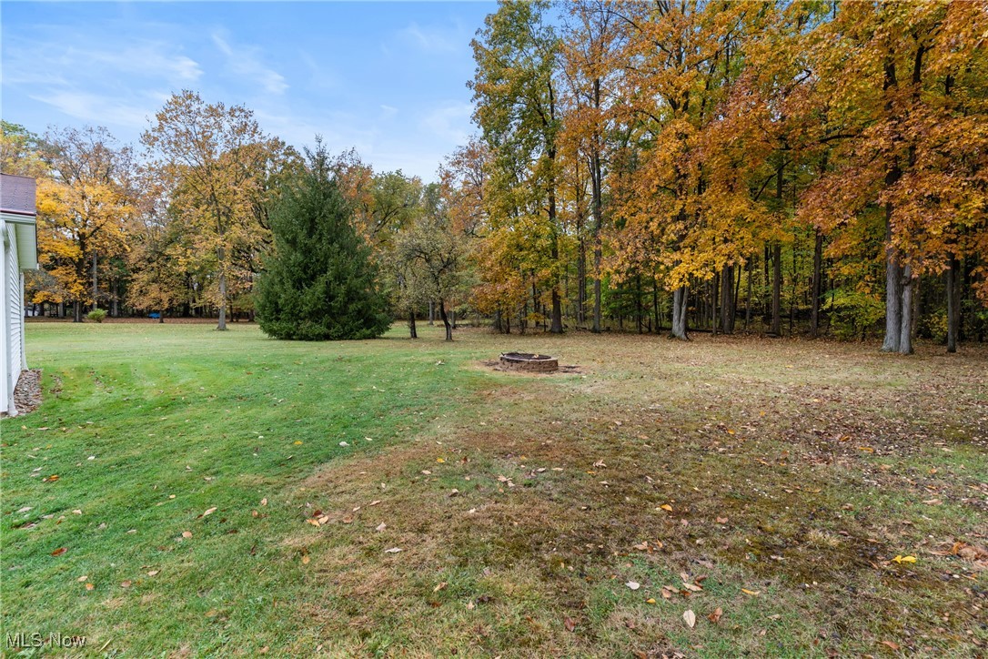 36725 Pettibone Road Solon, OH 44139 - Photo 33 of 44 So many possibilities within the 2.48 acre lot