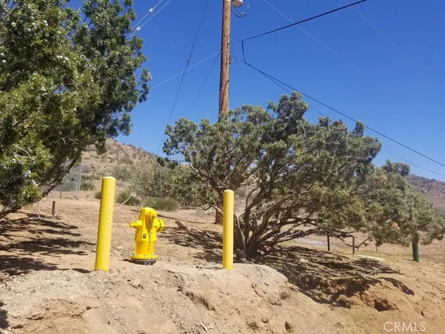 a view of a yard with trees