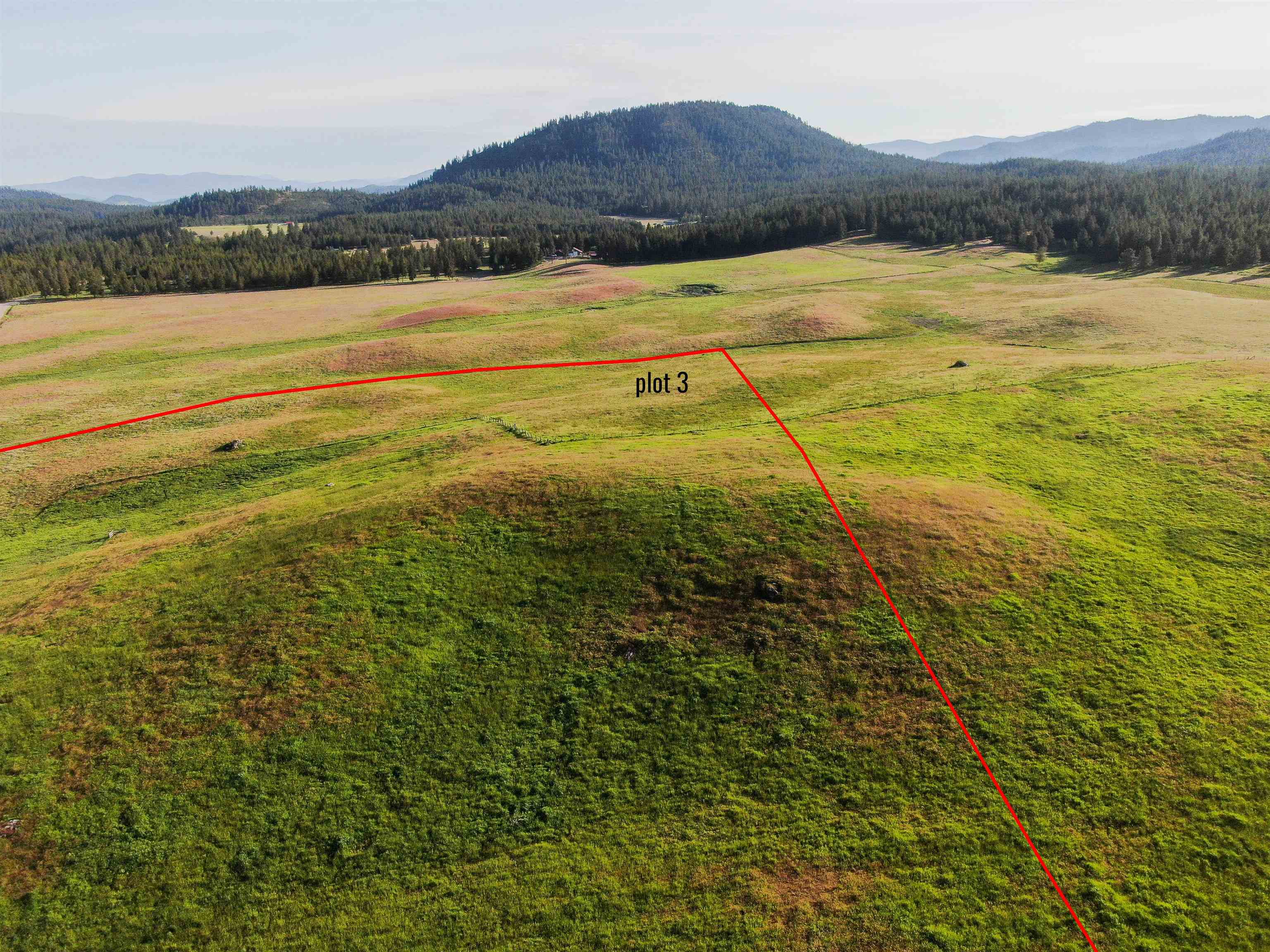3737 East Jump Off Road Valley, WA 99181 - Photo 2 of 9