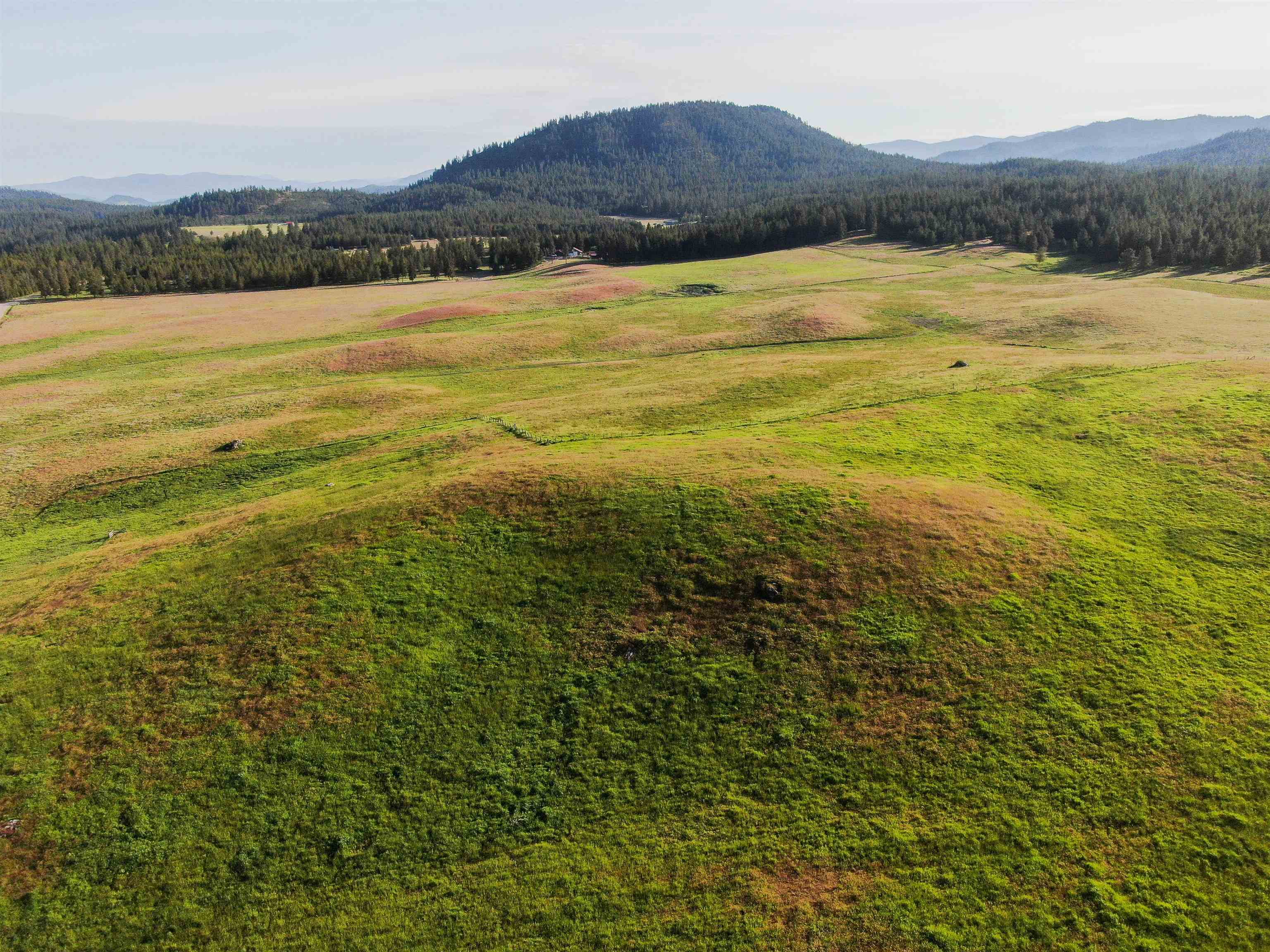 3737 East Jump Off Road Valley, WA 99181 - Photo 3 of 9