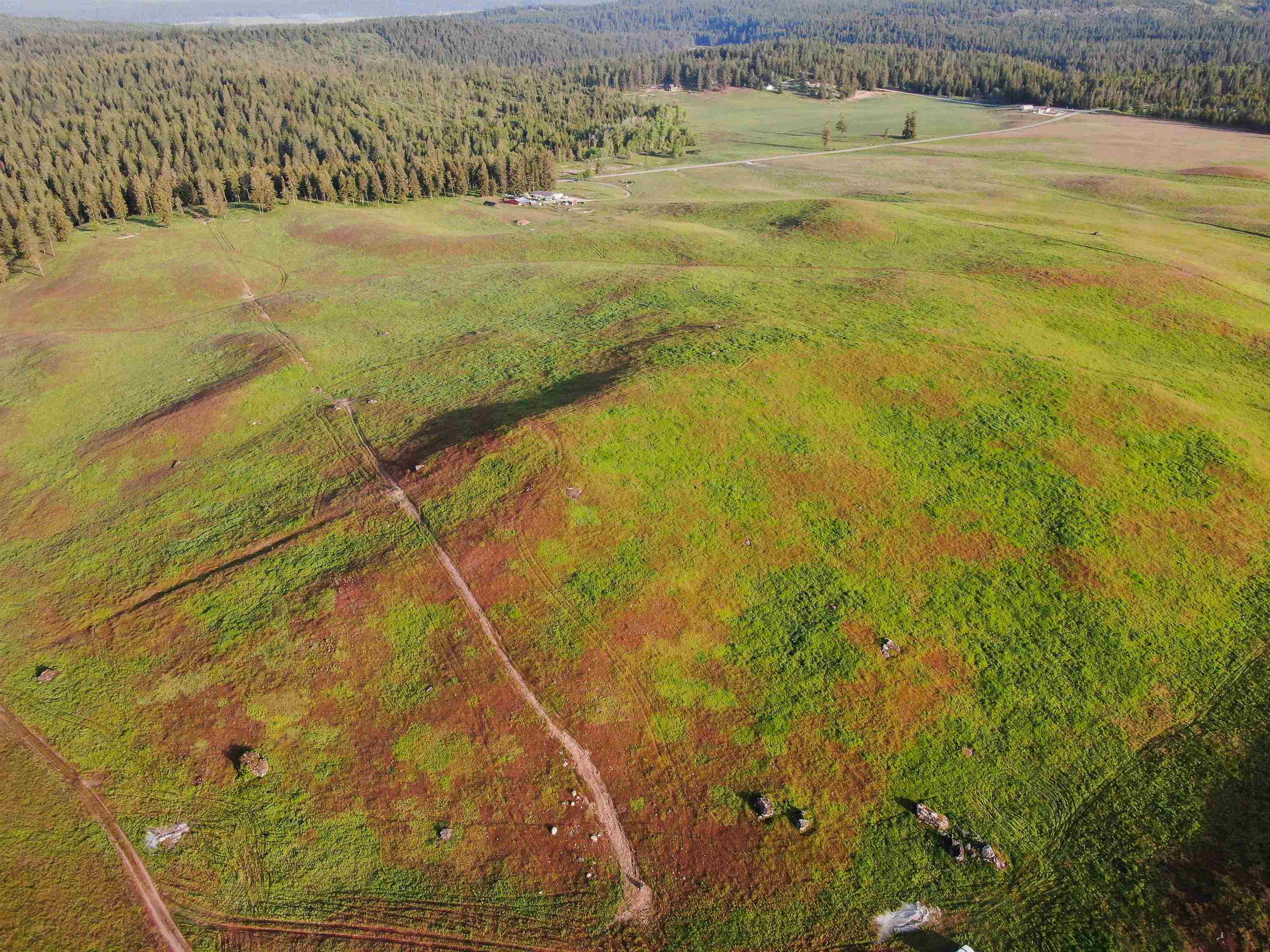 3737 East Jump Off Road Valley, WA 99181 - Photo 4 of 9