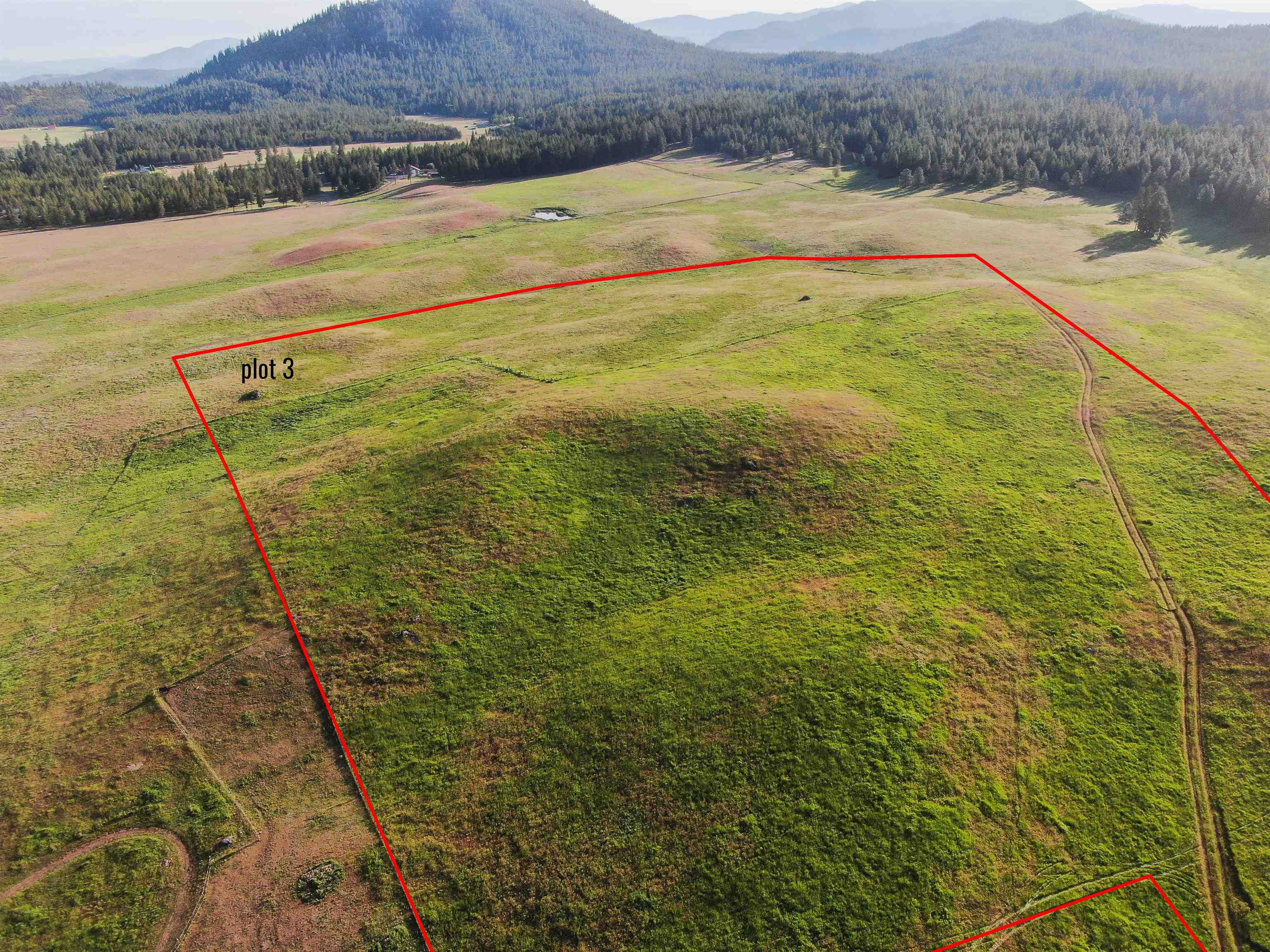 3737 East Jump Off Road Valley, WA 99181 - Photo 6 of 9