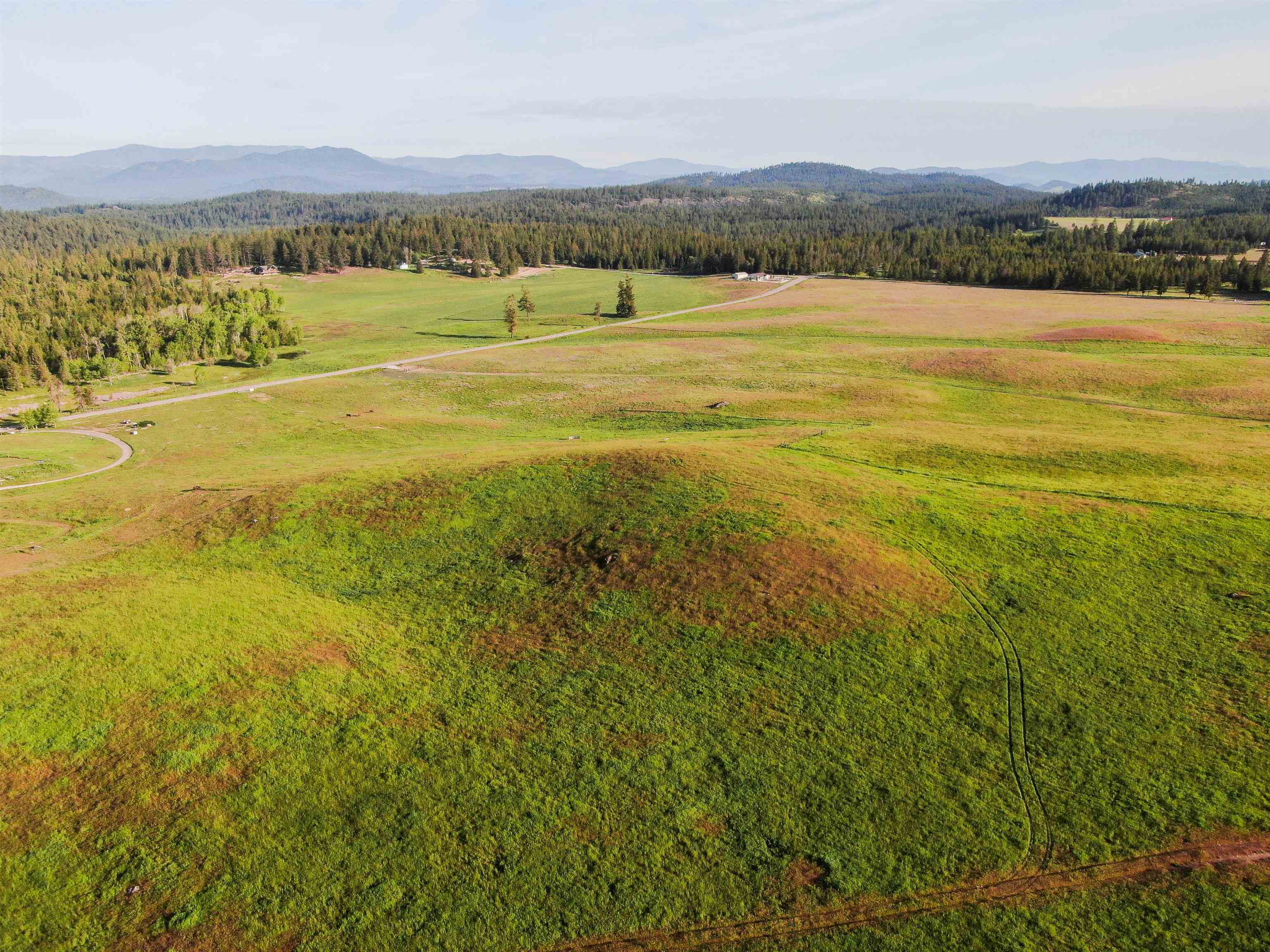 3737 East Jump Off Road Valley, WA 99181 - Photo 9 of 9