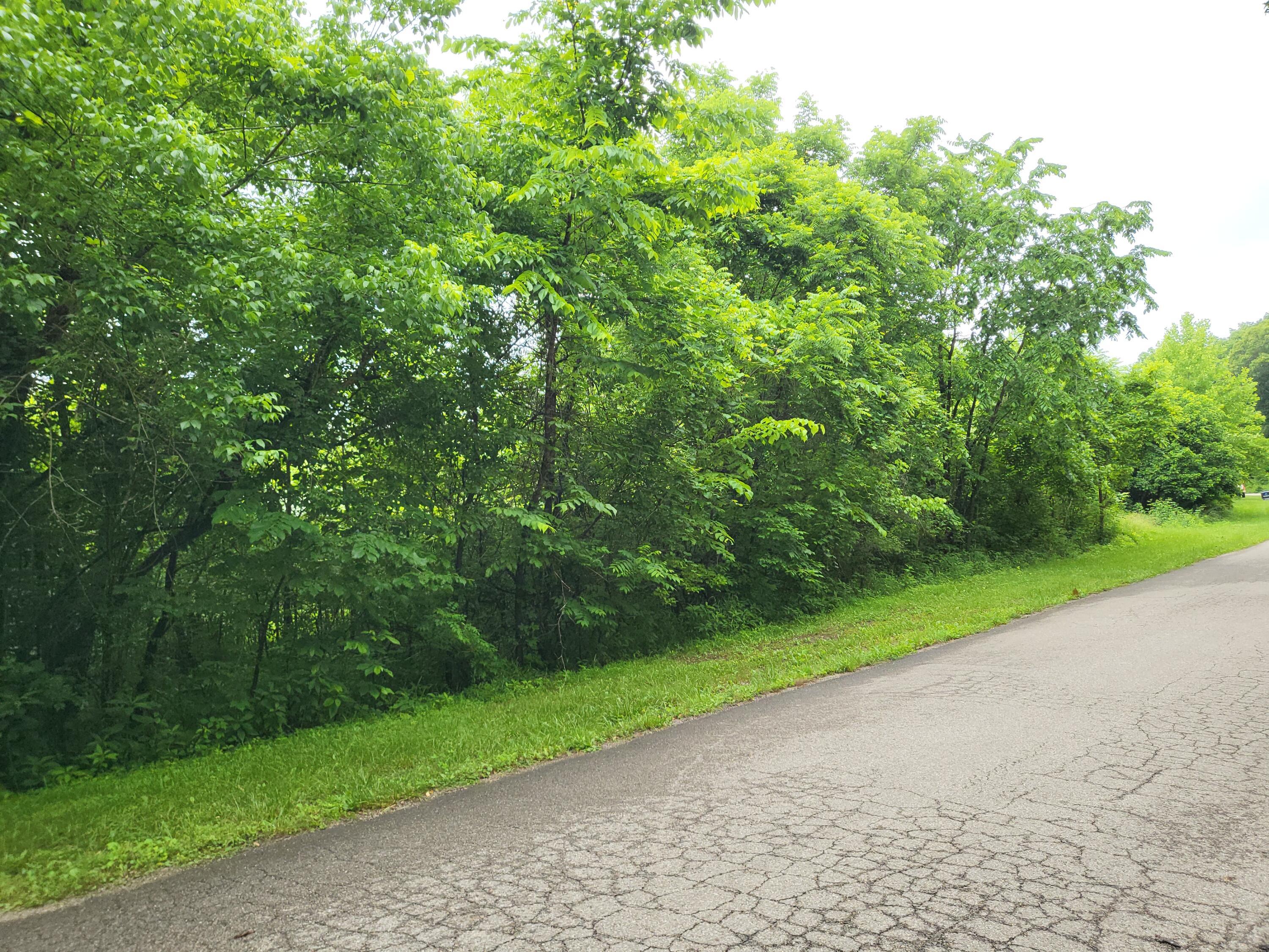 0 Brady Road Nelsonville, OH 45764 - Photo 2 of 3 20230623_125105
