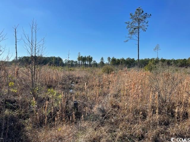 Tbd Cheyenne Road Conway, SC 29526 - Photo 2 of 4 View of nature with a rural view