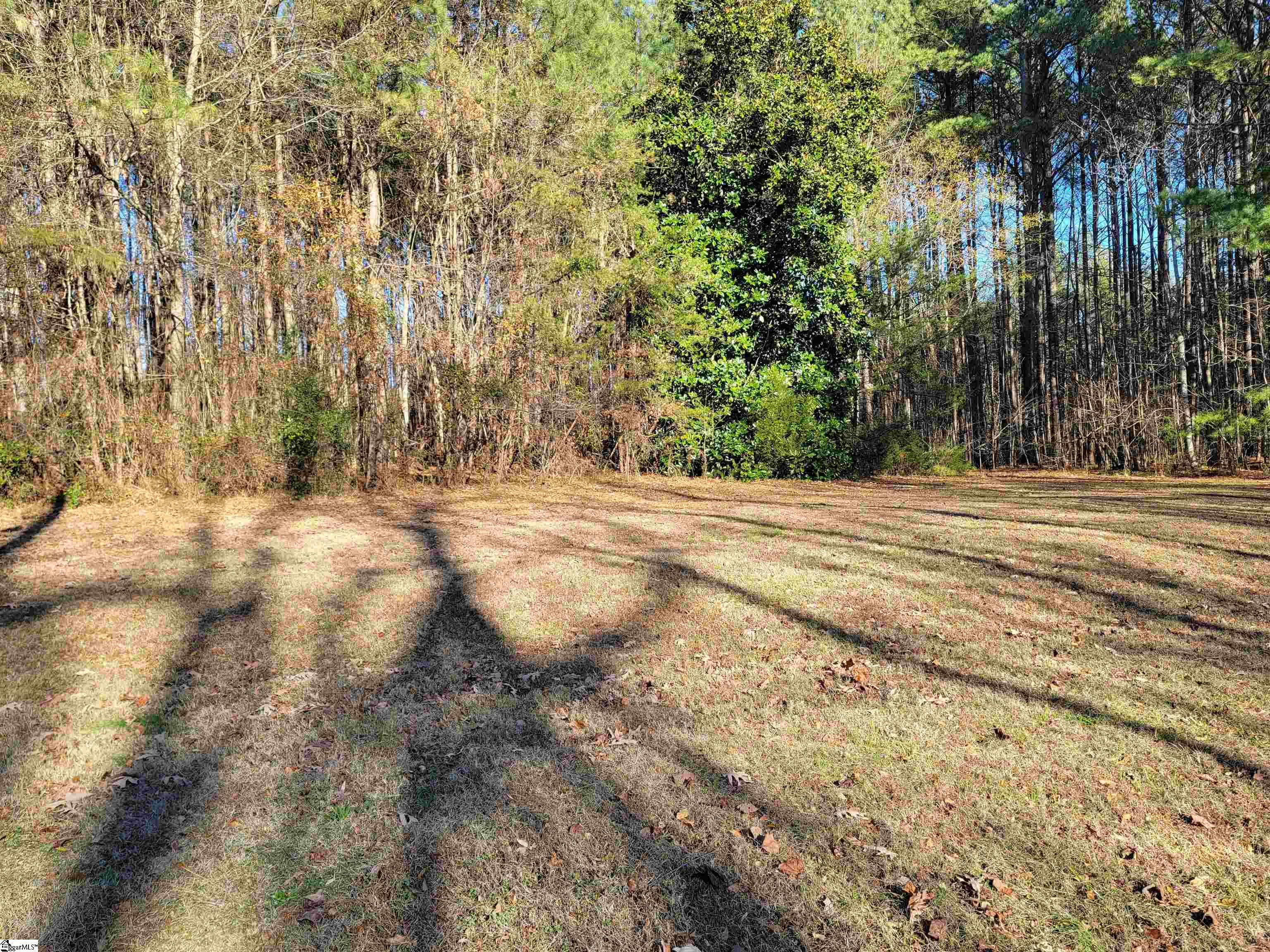 523 Pink Dill Mill Road Greer, SC 29651 - Photo 33 of 36