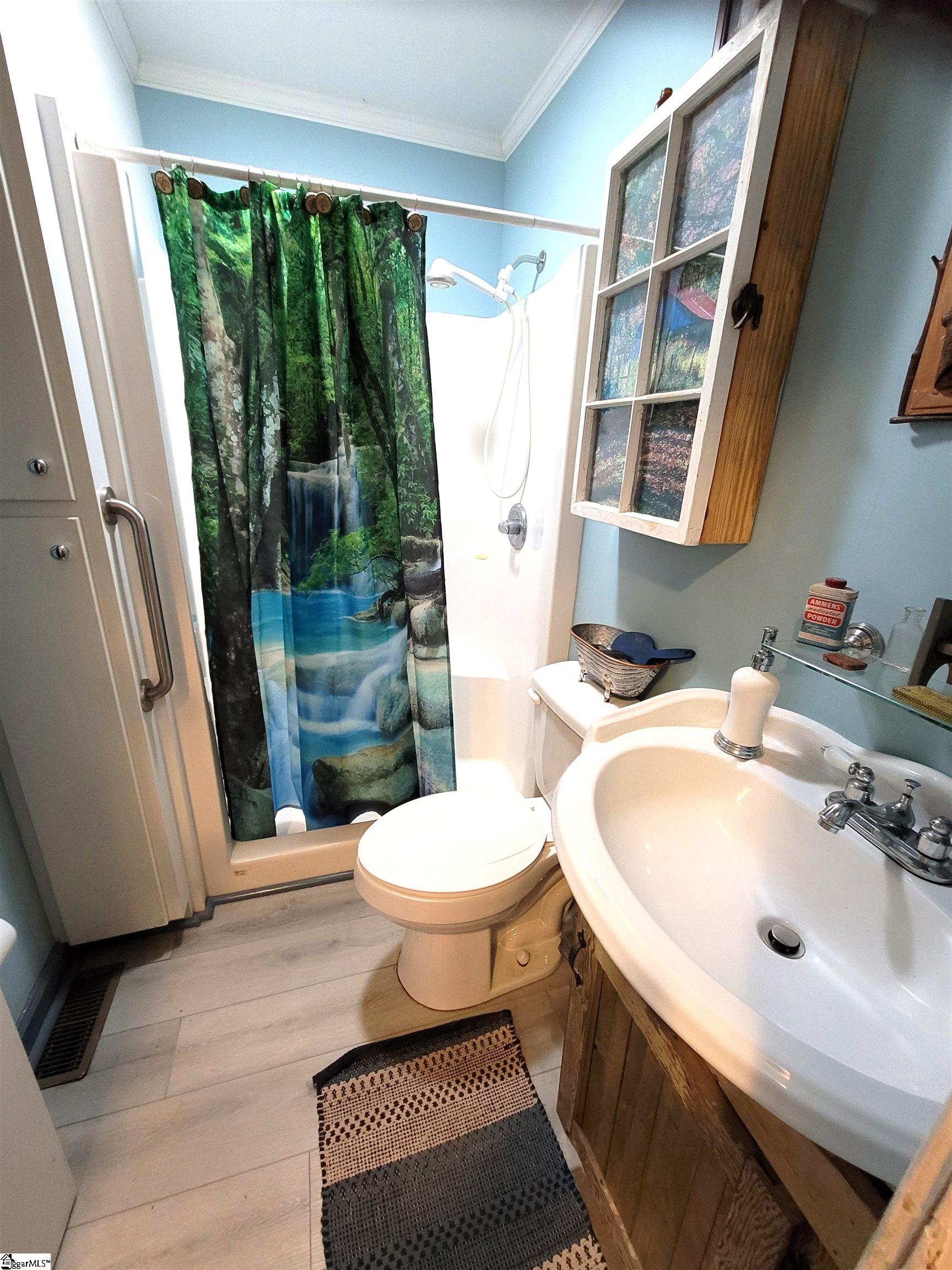 523 Pink Dill Mill Road Greer, SC 29651 - Photo 6 of 36