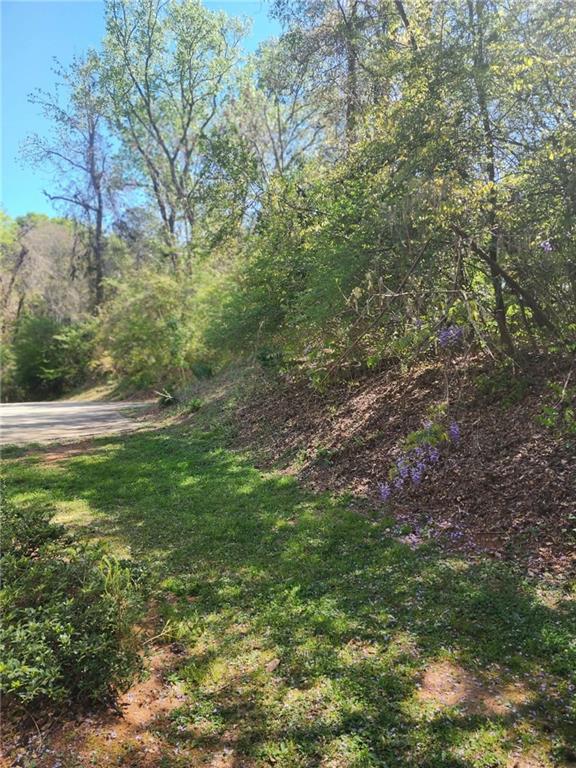 1175 Diamond Hill Colbert Road Colbert, GA 30628 - Photo 41 of 45 a big yard with lots of green space and deers