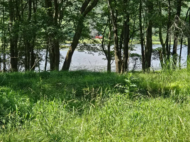 a view of backyard with green space