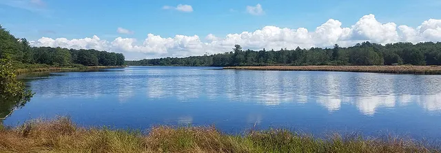 a view of a tennis court