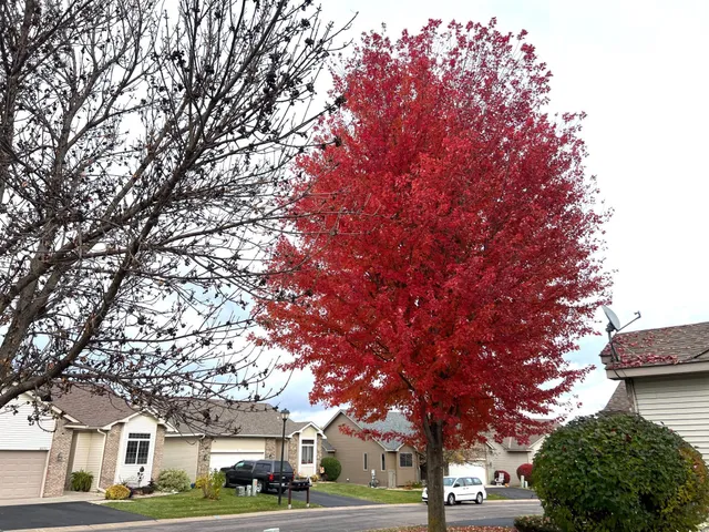 $344,900 | 6659 Lipizzan Trail North, Forest Lake, MN 55025