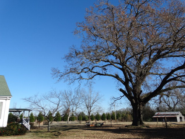 18653 Atomic Road Jackson, SC 29831 - Photo 3 of 42