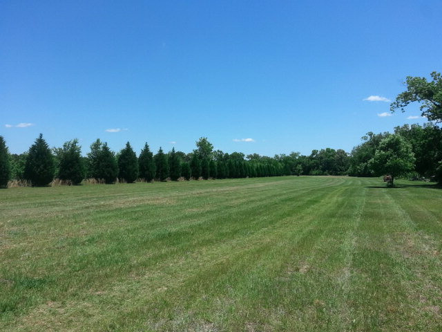 18653 Atomic Road Jackson, SC 29831 - Photo 41 of 42