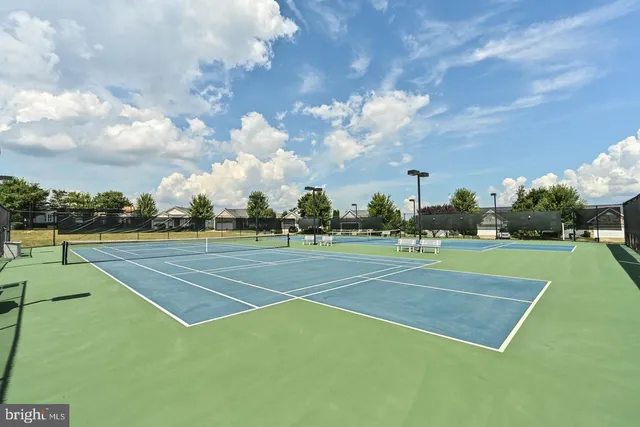 a view of a tennis ground with large trees