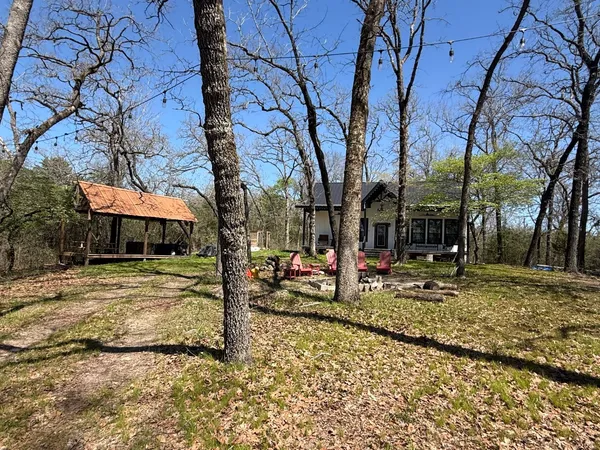 a view of a park that has a tree on the side of it