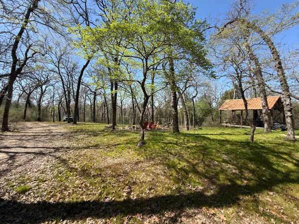a backyard of apartments with large trees