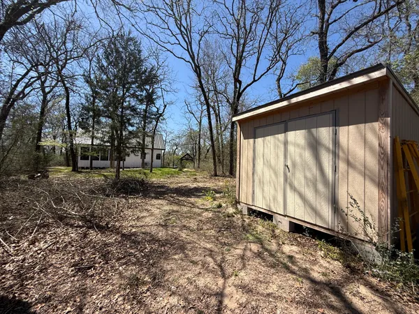 a view of a yard with trees