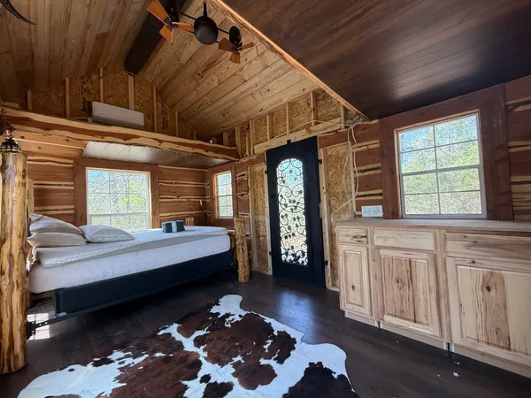 a view of a tree in a yard