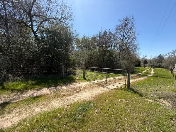 a view of a yard with swimming pool