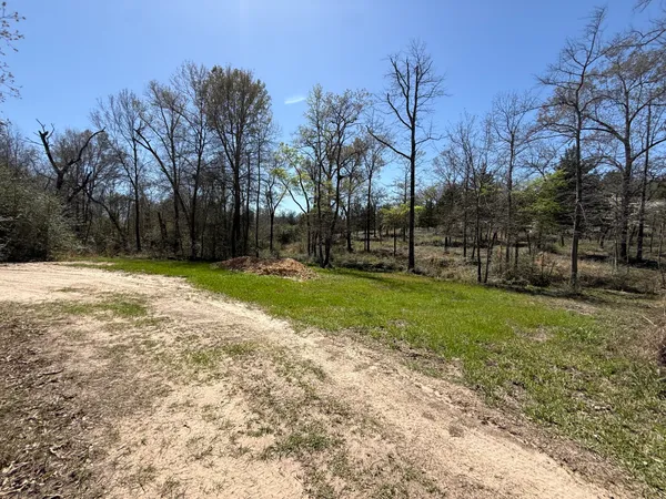 a view of yard with trees