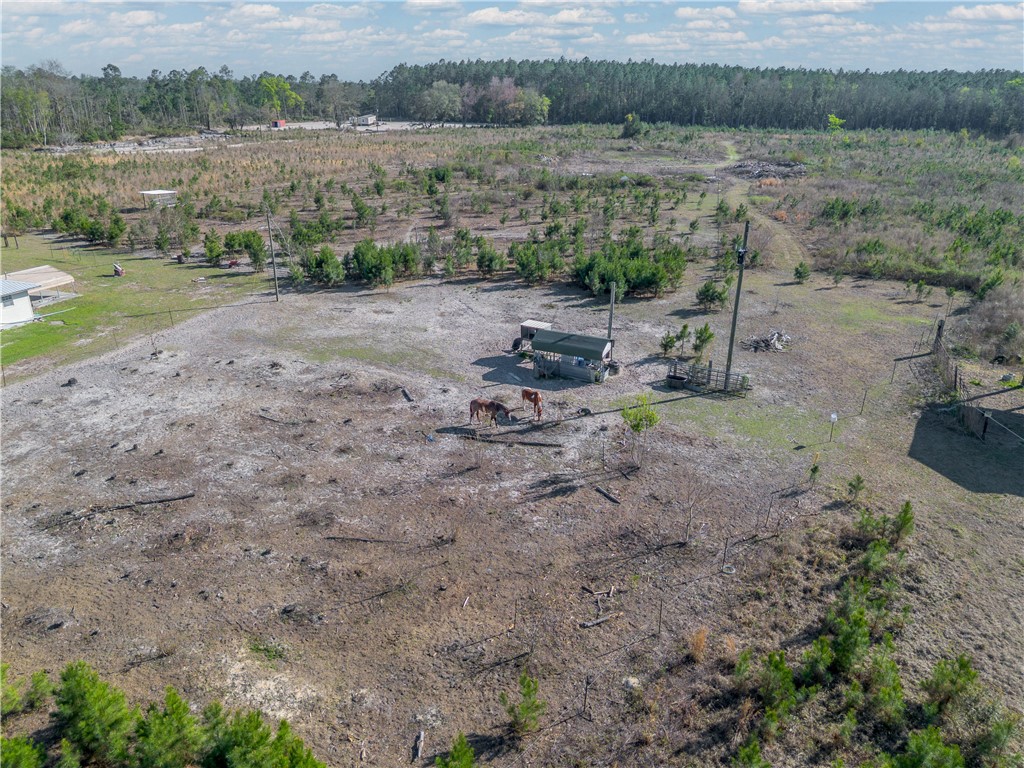 6291 Riverside Road Nahunta, GA 31553 - Photo 23 of 24