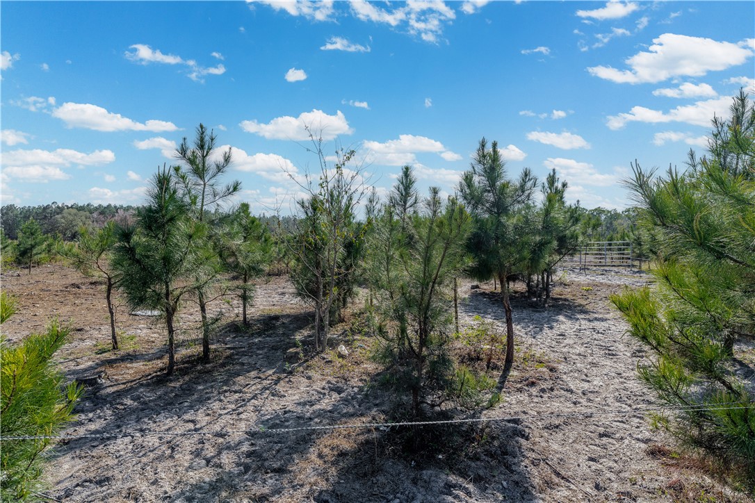 6291 Riverside Road Nahunta, GA 31553 - Photo 24 of 24