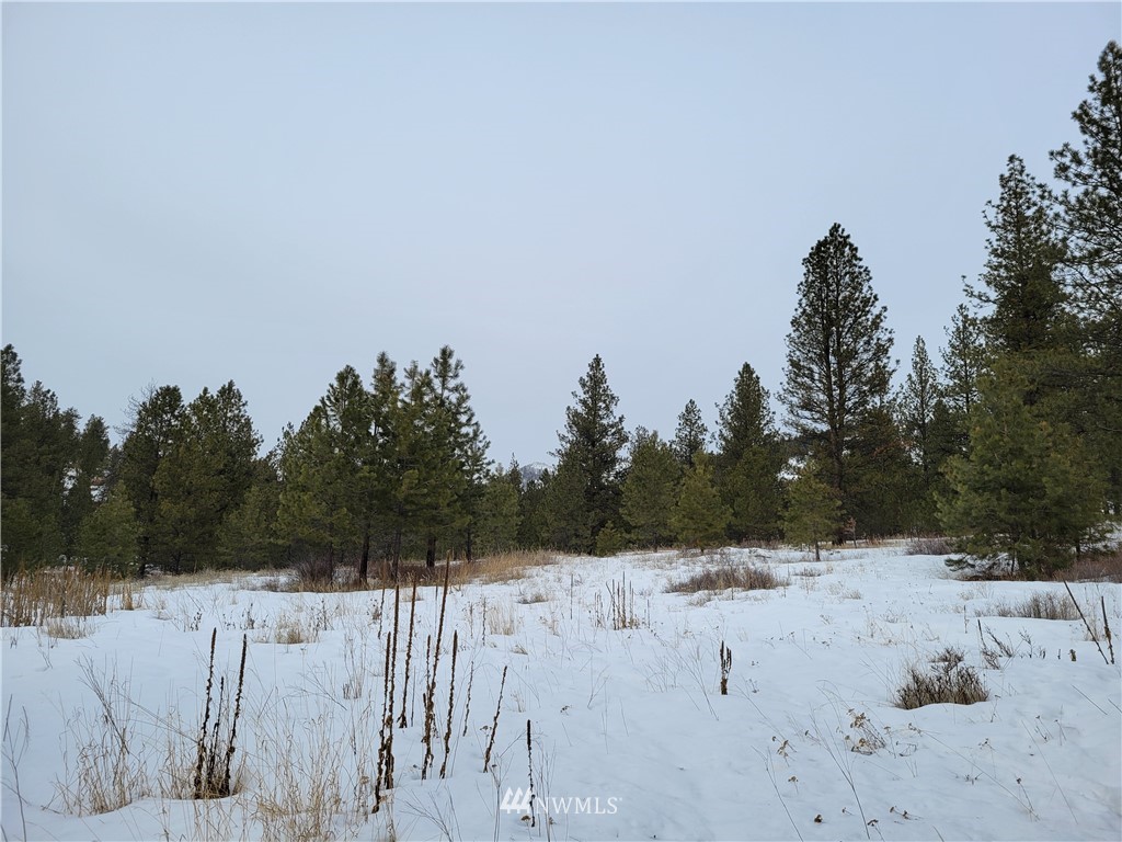 1796 Tunk Creek Road Riverside, WA 98849 - Photo 11 of 23 Gallery Image 11