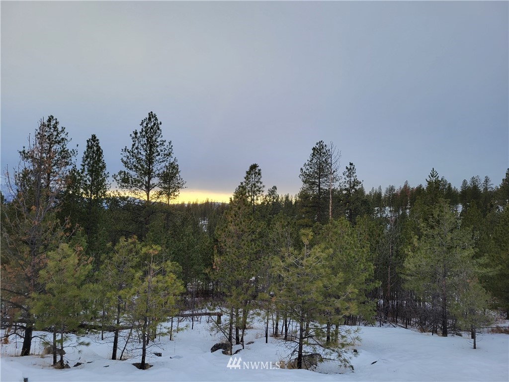 1796 Tunk Creek Road Riverside, WA 98849 - Photo 12 of 23 Gallery Image 12